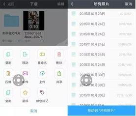 短视频无水印,轻松打造创意内容新潮流